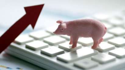 猪肉价格五周涨超30%