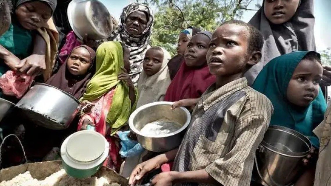 联合国向马斯克提供解决饥荒计划