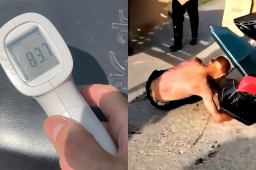 图片[1] - vip会员免费追剧全网影视_全网会员视频免费看-免VIP抢先看免费观看全网影视资源 - 影视资源论坛 - 文件资源 - 小轻秀场