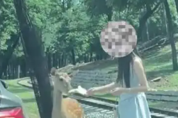 图片[1] - vip会员免费追剧全网影视_全网会员视频免费看-免VIP抢先看免费观看全网影视资源 - 影视资源论坛 - 文件资源 - 小轻秀场