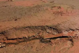 vip会员免费追剧全网影视_全网会员视频免费看-免VIP抢先看免费观看全网影视资源 - 小轻秀场