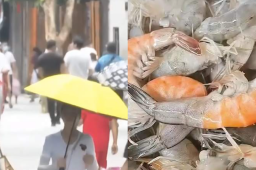 图片[1] - vip会员免费追剧全网影视_全网会员视频免费看-免VIP抢先看免费观看全网影视资源 - 影视资源论坛 - 文件资源 - 小轻秀场