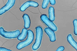 图片[1] - vip会员免费追剧全网影视_全网会员视频免费看-免VIP抢先看免费观看全网影视资源 - 影视资源论坛 - 文件资源 - 小轻秀场