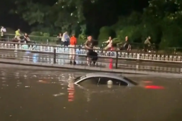 图片[1] - vip会员免费追剧全网影视_全网会员视频免费看-免VIP抢先看免费观看全网影视资源 - 影视资源论坛 - 文件资源 - 小轻秀场